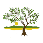 soreilly@altacresta.com